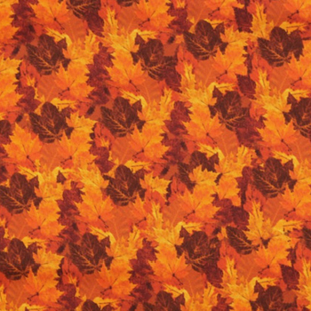 Plc 1429 Autumn Leaves