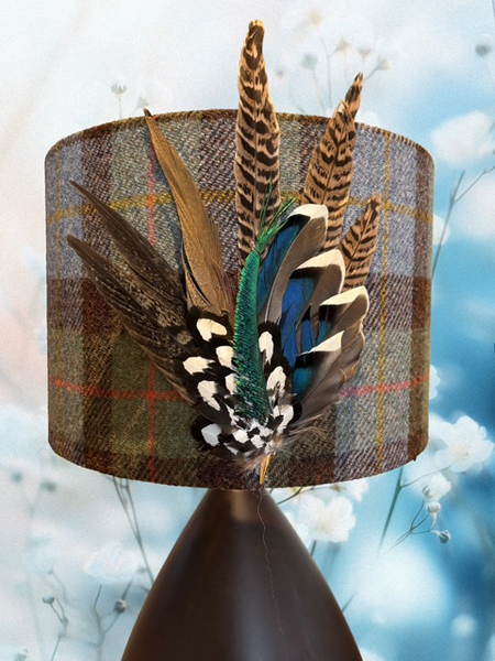 Lampshade With Feathers