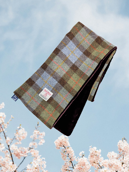 Macleod Check