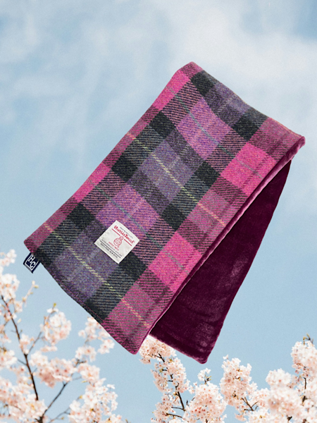 Pink Check
