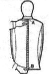 back measurement chart