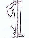 outside leg measurement chart